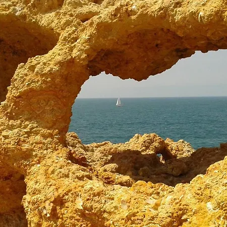 Vandalou By Alzira * 阿尔布费拉