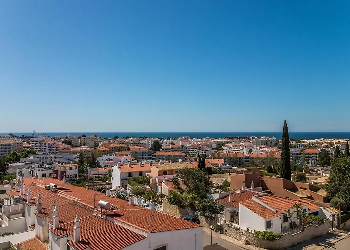 Vandalou By Alzira *